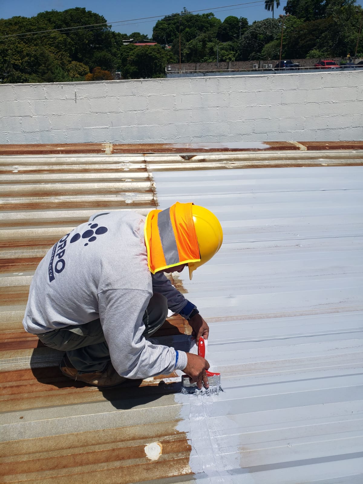 Asesoría técnica